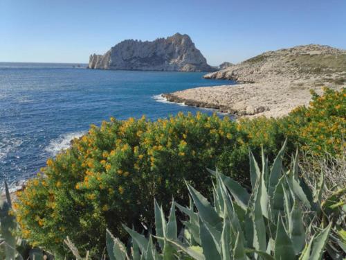 Ile Maire les Goudes Marseille-min